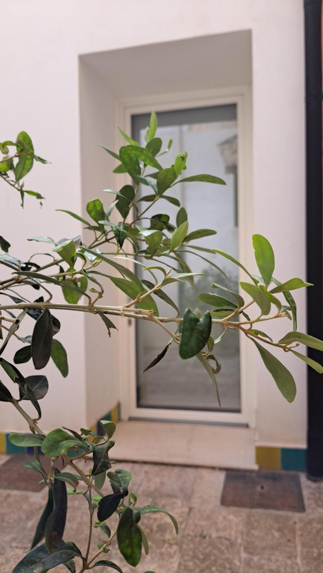 B&B Garibaldi Alcamo Εξωτερικό φωτογραφία